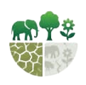 Loss of biodiversity