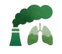 Air pollution and respiratory health